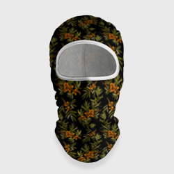 Балаклава 3D Облепиха ягоды