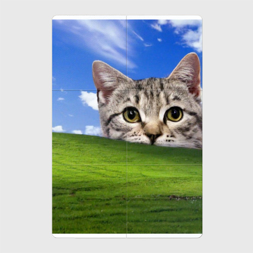 Магнитный плакат 2Х3 Кот и безмятежность в Windows XP