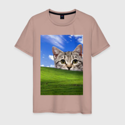 Кот и безмятежность в Windows XP – Мужская футболка хлопок с принтом купить со скидкой в -20%