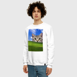 Мужской свитшот хлопок Кот и безмятежность в Windows XP - фото 2