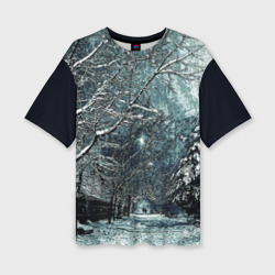 Женская футболка oversize 3D Зимний пейзаж тёмно-синий