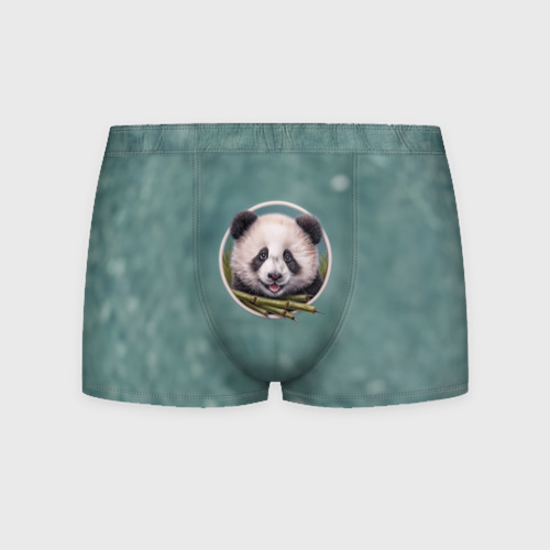 Мужские трусы 3D Милая мордочка панды с бамбуком, цвет 3D печать