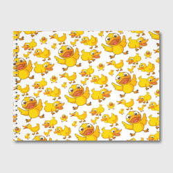 Альбом для рисования Yellow ducklings