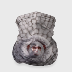 Бандана-труба 3D Забавная белая обезьяна
