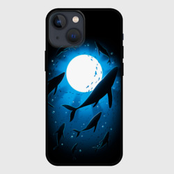 Чехол для iPhone 13 mini Киты под водой