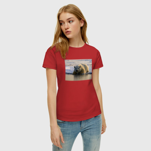 Женская футболка хлопок с принтом Медведь на севере, фото на моделе #1