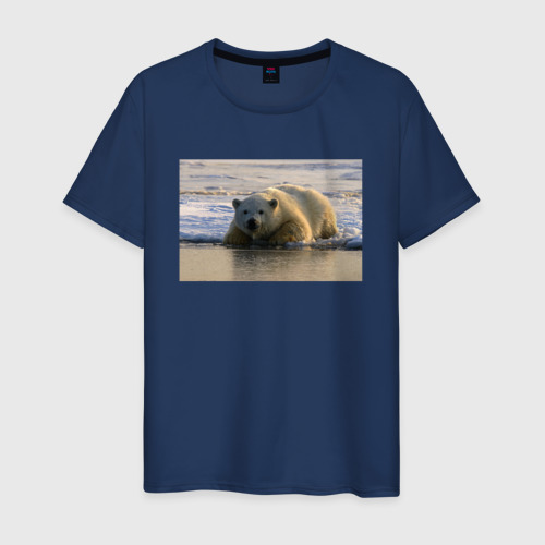 Мужская футболка хлопок с принтом Медведь на севере, вид спереди #2