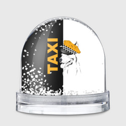 Игрушка Снежный шар Собака в кепке таксиста