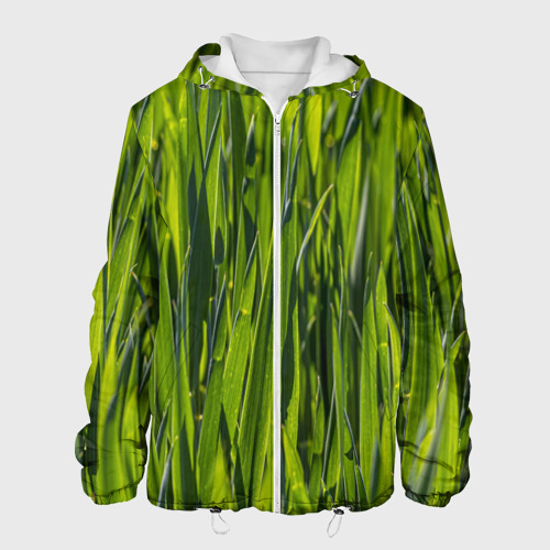 Мужская куртка 3D Ландшафт зелень, цвет 3D печать