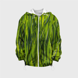 Детская куртка 3D Ландшафт зелень