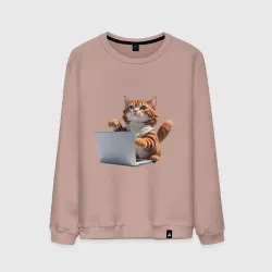 Мужской свитшот хлопок Котик кодит за ноутбуком