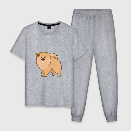 Мужская пижама хлопок с принтом Милая собачка Шпиц, вид спереди #2