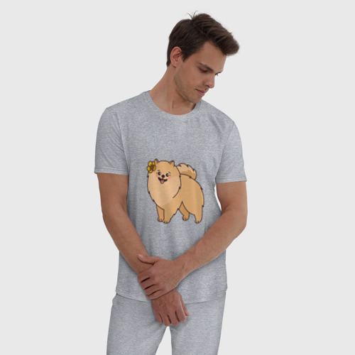 Мужская пижама хлопок с принтом Милая собачка Шпиц, фото на моделе #1