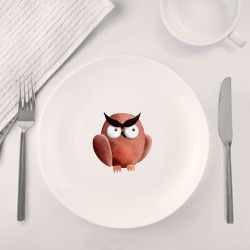 Набор: тарелка + кружка Сердитая сова с круглыми глазами - фото 2