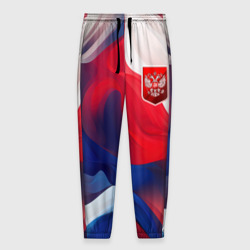 Мужские брюки 3D Красный герб России