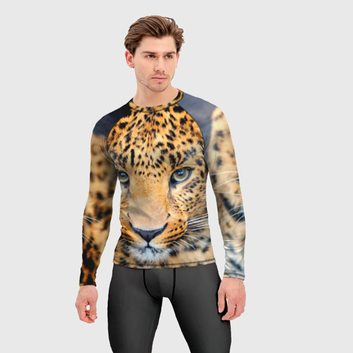 Мужской рашгард 3D с принтом Дальневосточный леопард, фото на моделе #1