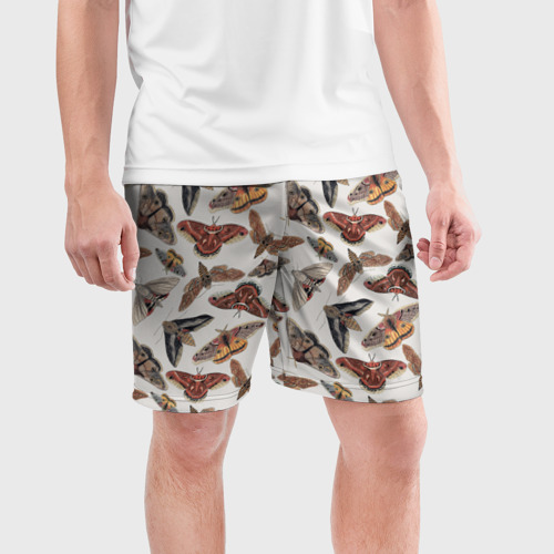 Мужские шорты спортивные с принтом Бабочки и мотыльки, фото на моделе #1