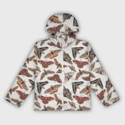 Женская ветровка 3D Бабочки и мотыльки