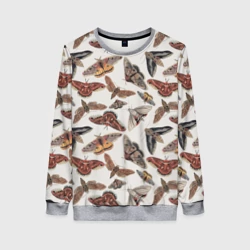 Женский свитшот 3D Бабочки и мотыльки