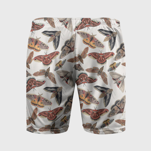 Мужские шорты спортивные с принтом Бабочки и мотыльки, вид сзади #1