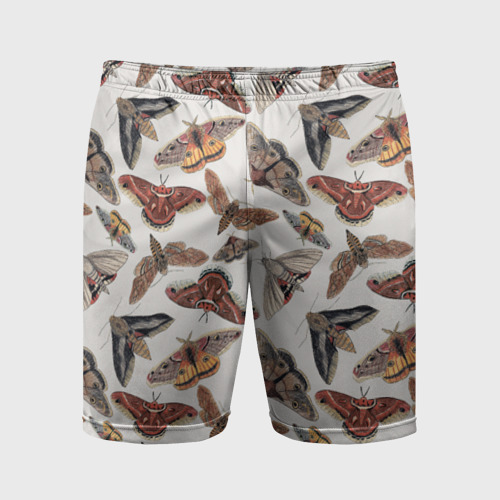 Мужские шорты спортивные с принтом Бабочки и мотыльки, вид спереди #2