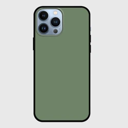 Чехол для iPhone 13 Pro Max Защитный хаки
