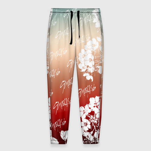 Мужские брюки 3D с принтом Stray Kids flowers, вид спереди #2