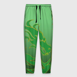 Мужские брюки 3D Зеленый дракон