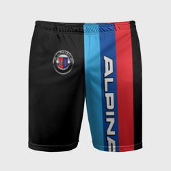 Мужские шорты спортивные Alpina - полосы бмв