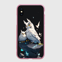 Чехол для iPhone XS Max матовый Филины и магия