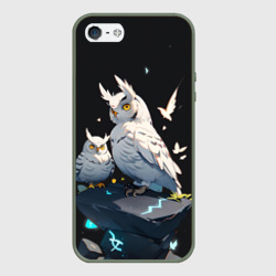 Чехол для iPhone 5/5S матовый Филины и магия