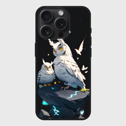 Чехол силиконовый для Apple iPhone 15 Pro матовый Филины и магия