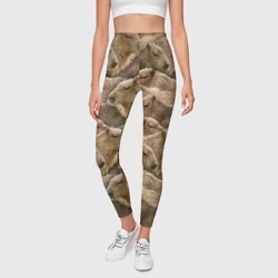 Леггинсы 3D Паттерн с капибарами - грызуны - фото 2