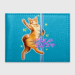 Обложка для студенческого билета Поледэнс кот стрип пластика на шесте