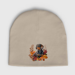 Детская шапка демисезонная Такса черно-подпалая с венком из осенних листьев