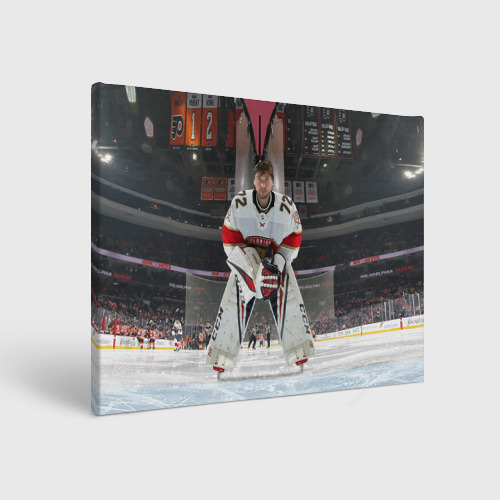 Холст прямоугольный Sergey Bobrovsky - Florida panthers - hockey, цвет 3D печать