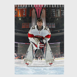 Скетчбук Sergey Bobrovsky - Florida panthers - hockey