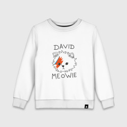 Детский свитшот хлопок David Meowie