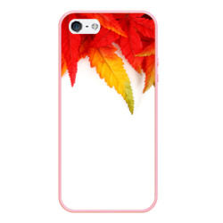 Чехол для iPhone 5/5S матовый Maple leaves stile