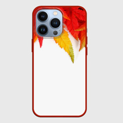 Чехол для iPhone 13 Pro Maple leaves stile