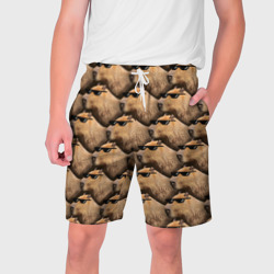 Мужские шорты 3D Крутая капибара - мем