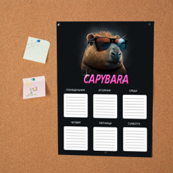 Постер Капибара в очках - расписание уроков - фото 2