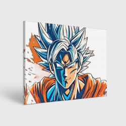 Холст прямоугольный Goku