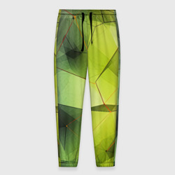 Мужские брюки 3D Зеленая текстура объемная