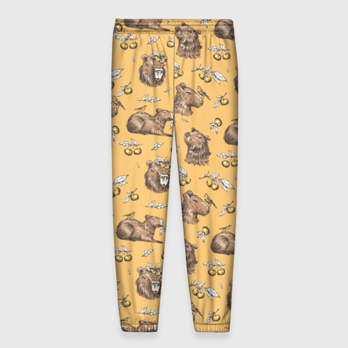 Мужские брюки 3D с принтом Капибары и мандаринки, вид сзади #1
