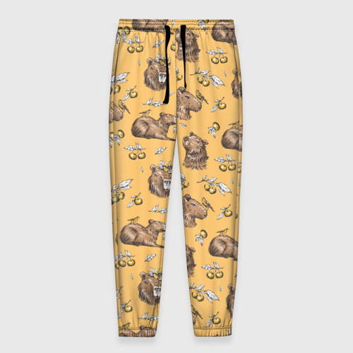 Мужские брюки 3D с принтом Капибары и мандаринки, вид спереди #2