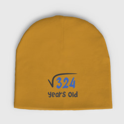 Женская шапка демисезонная 18 лет - корень из 324