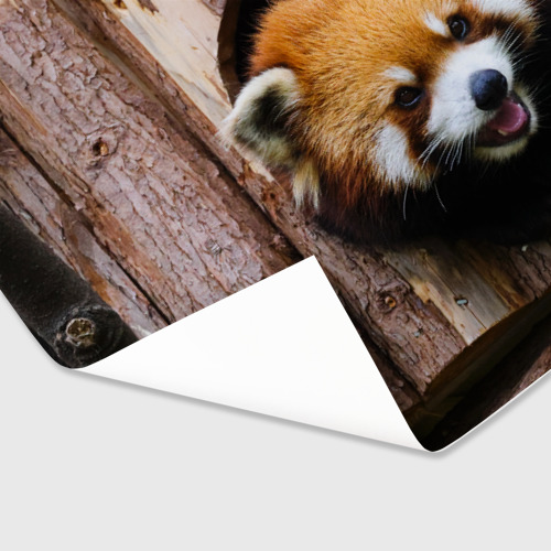 Бумага для упаковки 3D Красная панда в дереве - фото 3
