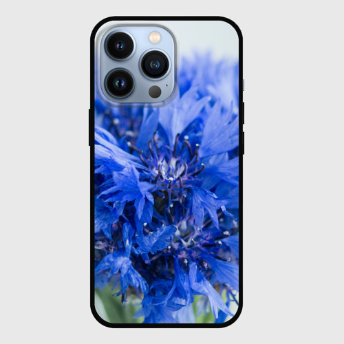 Чехол для iPhone 13 Pro с принтом Цветы васильки, вид спереди #2
