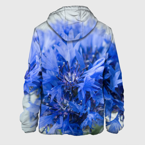 Мужская куртка 3D с принтом Цветы васильки, вид сзади #1